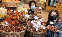 햇밤·사과대추 맛보세요