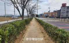 가로수 바꾸니 도로변 공원으로 변신