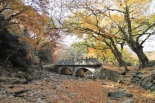 [장갑수와 함께 걷는 길]해남 대흥사 ‘다도의 길’
