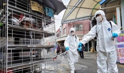 가금류 판매장 AI 차단방역