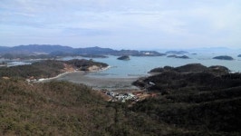 [장갑수와 함께 걷는 길]진도 접도 남망산(웰빙 등산로)