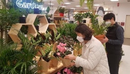 “텃밭 가꾸며 힐링”…실내원예 ‘인기’