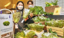 “전남농기원이 개발한 ‘흑상추’ 맛보세요”