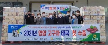 서영암농협, 고구마 태국 첫 수출