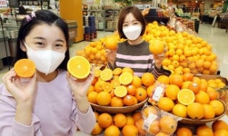 ‘제철 맞은 미국산 오렌지 맛보세요’