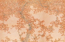 전남도립미술관 개관 특별전…오는 7월18일까지