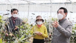 金지사, 장흥 애플망고 농장 점검