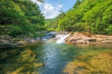 도림사, 여름 비대면 안심 관광지 25선 선정