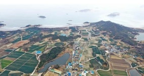 신안군, 비금도 치유의숲 조성 50억 확보