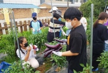 나주 노안남초교 학생들, 학교 텃밭 경작