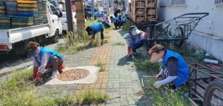 목포 만호동행정복지센터, 도로변 환경정화 호응