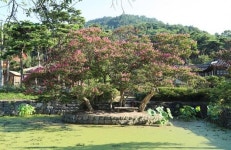 [장갑수와 함께 걷는 길]논산 명재고택과 노성산