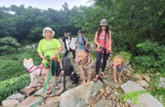6-7일 땅끝황토나라테마촌 ‘반려견 생태캠핑’ 개최