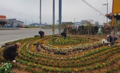 영암 덕진면, 가로화단 봄맞이 꽃단장