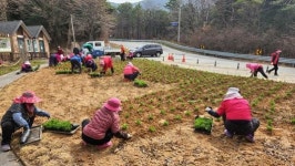 담양군 대전면, 새봄맞이 꽃동산 만들기 눈길