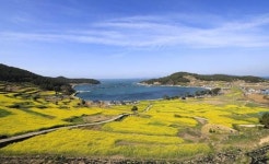 “걸을수록 아름다운 ‘청산도 슬로시티’ 만끽하세요”