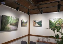 이동호 사진전, 내달 31일까지 갤러리카페 사잇길