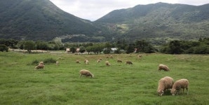 [9월 전남도 추천 관광지]이국적 명소 가득한 전남서 가을여행을