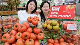 토마토로 면역력 키워요