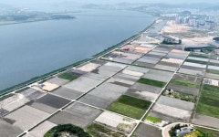 농림부 “뻘흙 불법 성토 농지 직불금 대상 아니다”