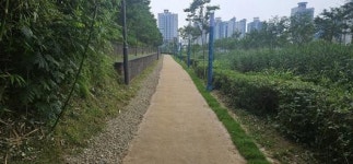 무안 대죽도 근린공원에 1.1㎞ 마사토 어싱길 조성