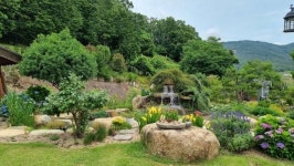 해남 ‘비원’ 전남도 예쁜정원 콘테스트 대상