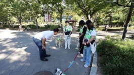 동네 한바퀴 서울 한강로동·사당동 편