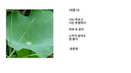 디카詩에 담긴 문화의 향기