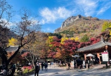 장성 백양사 100만명 방문…전남 명소 자리매김