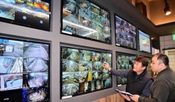 [광주·전남 스타브랜드를 키우자]스마트 축산 선두주자…㈜에스비팜