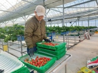 순천 ‘억대 청년농’ 육성…미래 농업 혁신 ‘총력’