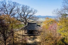 ‘회방연’ 주인공, 면앙정 송순