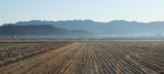 [장갑수와 함께 걷는 길] 서해랑길 2코스