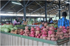 [공감신문 조병수칼럼] 남태평양, 피지 여행 단상(斷想) #2