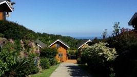 제주도 가족독채팬션 중문올레펜션 봄꽃축제기간 1박무료 이벤트