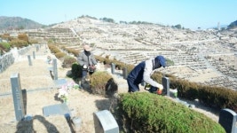 매장묘 포화 상태, 납골묘가 대안일까?