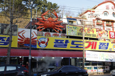 속초 동명항 맛집 팔도게찜 신선한 대게 제공