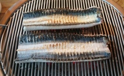 노원 수락산 맛집 수락수산 매월정, 최고의 스태미나 보양식 장어 선보여