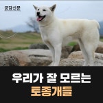 [공감신문] 우리가 잘 모르는 토종개들