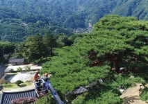 송기석 문화재 돌봄사업 상시인력, 전문성 강화 방안 확보돼야