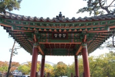 [공감신문 포토] 장충단공원-금요일 낮의 한가로운 공원 풍경