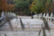 [공감신문 포토] 장충단공원-고즈넉한 공원과 도심을 잇는 수표교