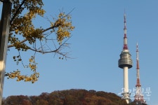 [공감신문 포토] 남산도서관-서울이 내려다보이는 도서관