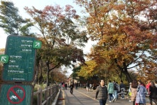 [공감신문 포토] 남산공원- 따스한 가을 남산서울타워로 향하는 길