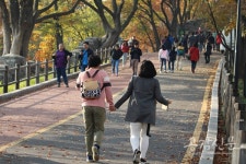 [공감신문 포토] 남산공원- 따스한 가을 남산서울타워로 향하는 길