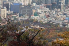[공감신문 포토] 남산공원- 따스한 가을 남산서울타워로 향하는 길