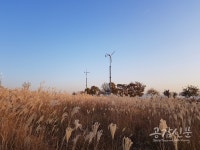[공감신문 木요일休] 하늘공원-시리게 눈부신 갈대밭과 그 거리