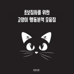[공감신문 교양공감] 초보집사를 위한 고양이 행동분석 모음집