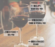 [공감신문 교양공감] 어렵다는 편견을 버리자! 와인 입문자를 위한 상식 모음