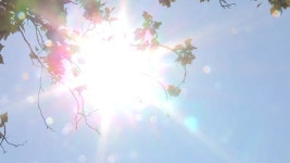 이른 더위에 전국 곳곳서 올해 첫 폭염주의보 발표